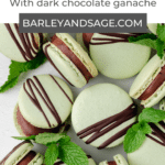 mint chocolate macarons pin
