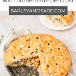 chicken pot pie pin