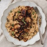 close up of mushroom risotto