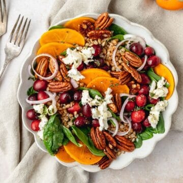 close up of persimmon and cranberry salad