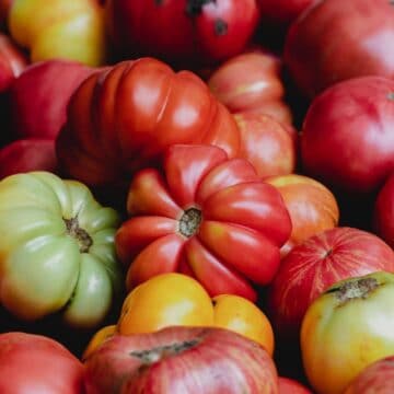 close up of heirloom tomatoes.