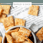 cheesy sourdough discard crackers pin