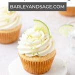 margarita cupcakes pin.