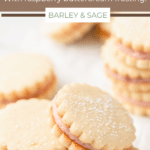 lemon raspberry cookie pin