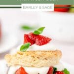 strawberry shortcake pin