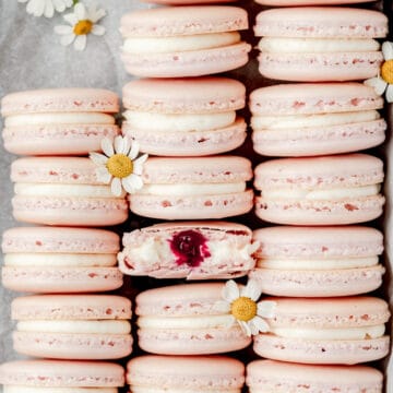 blueberry mascarpone macarons with blueberry jam