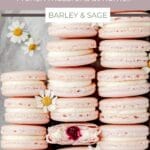 blueberry mascarpone macarons pin