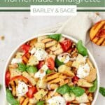 peach panzanella salad pin