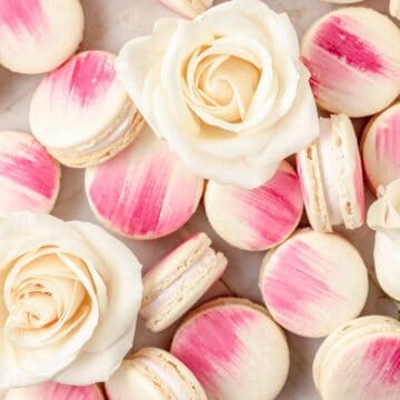 close up of vanilla bean macarons with rose buttercream