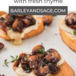 caramelized mushroom and brie crostini pin