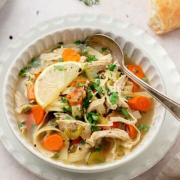 close up of sick day chicken noodle soup