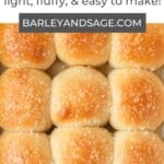 sourdough dinner rolls pin