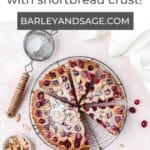 cranberry almond frangipane tart pin