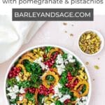 delicata squash salad pin
