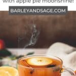 hot toddy pin