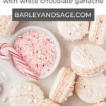 peppermint macarons pin