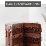 triple chocolate layer cake pin