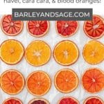 how to dry orange slices pin