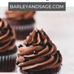 chocolate fudge cupcakes pin.