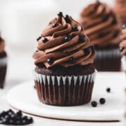 close up of chocolate fudge cupcakes