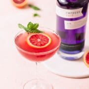 close up of blood orange gin fizz