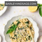 creamy one pot lemon spinach orzo pin.