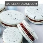 robins egg macarons pin.
