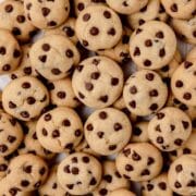 close up of mini chocolate chip cookies.