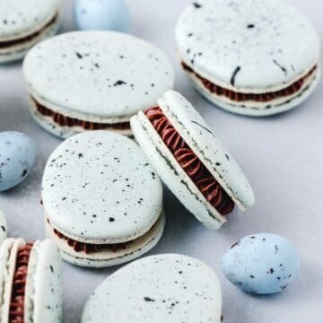 close up of blue robins egg macarons.