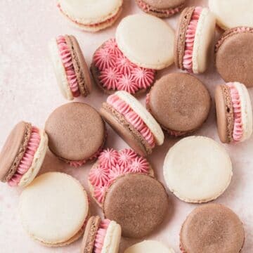 close up of neapolitan macarons.