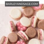 neapolitan macarons pin.