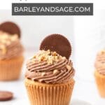 peanut butter cupcakes with chocolate buttercream pin.