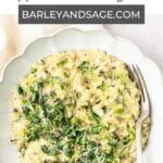 zucchini risotto pin.