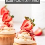 peanut butter and jelly cupcakes pin.