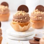 close up of peanut butter chocolate cupcakes with reese's on top.