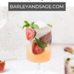 fig vanilla mojito pin.