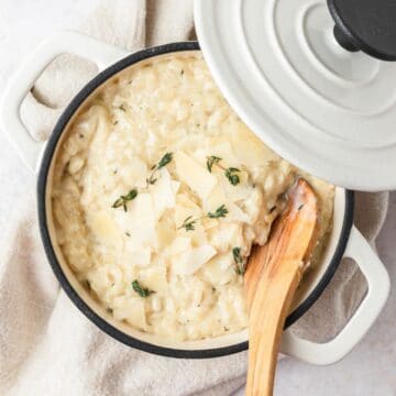 close up of simple parmesan risotto.