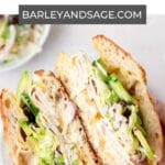 turkey avocado grinder sandwich pin.