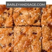 pumpkin caramel blondies pin.