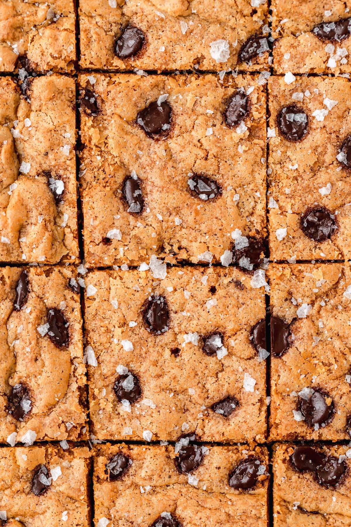 close up shot of top of pumpkin chocolate blondie bars.