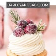 cranberry cupcakes pin.