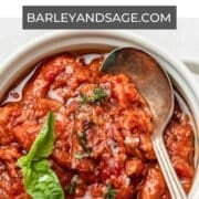 tuscan bread soup pin.