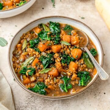 close up of butternut squash soup with barley and kale..