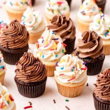 close up of mini cupcakes (chocolate and vanilla).