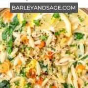creamy chicken orzo soup pin.