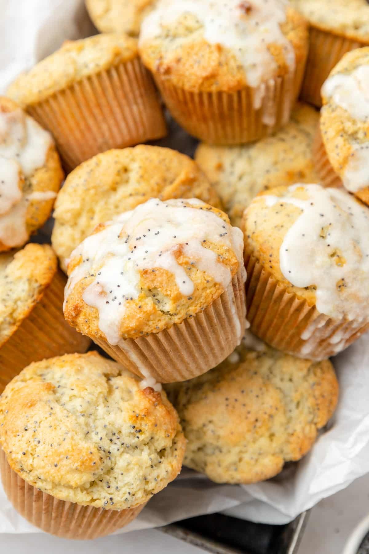 lemon poppy seed muffin drizzled with lemon glaze.