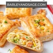 chicken pot pie hand pies pin.