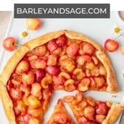 rainier cherry galette pin.