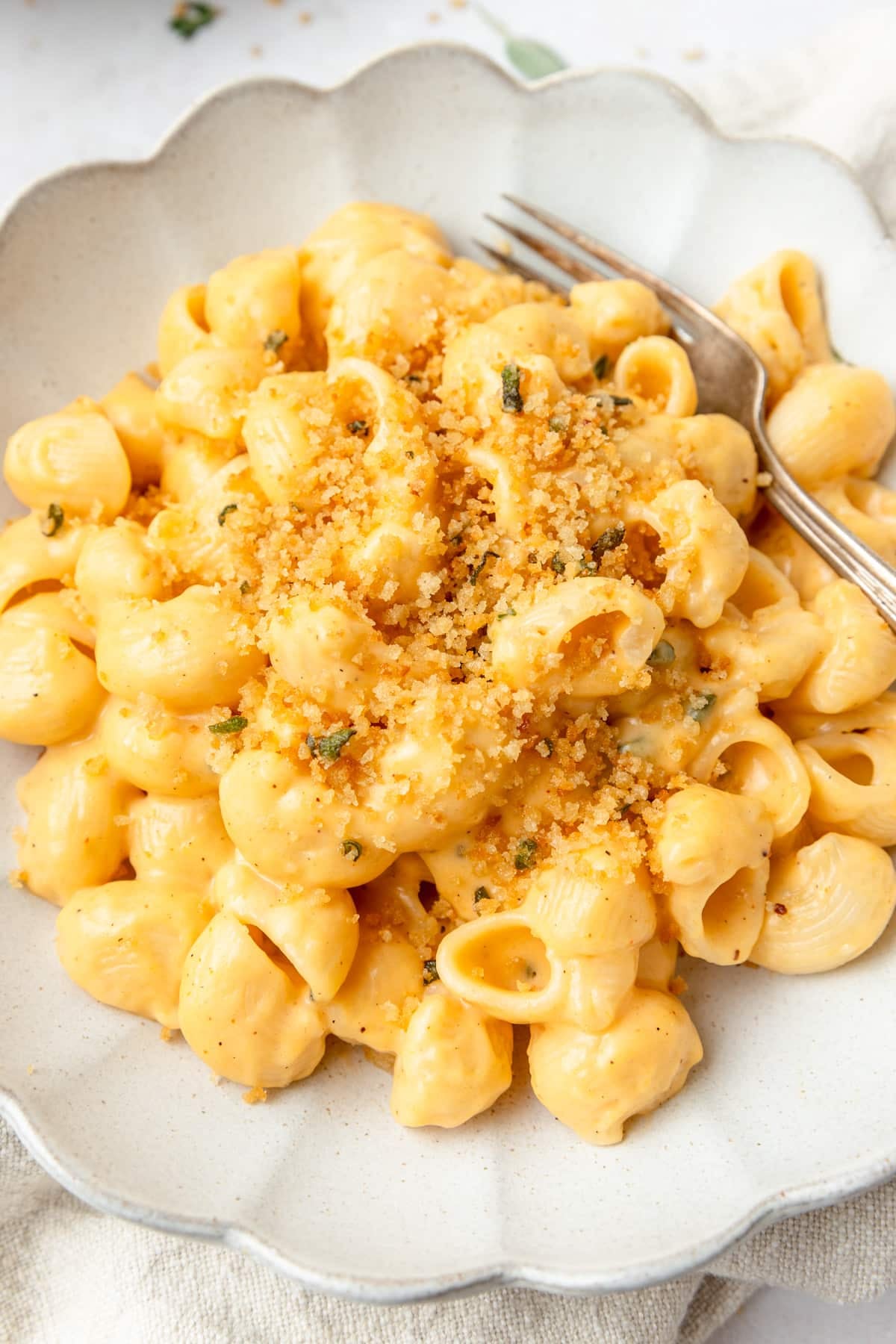 homemade mac and cheese with butternut squash and sage.