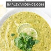 roasted tomatillo salsa pin.